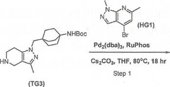 1680245672794772.jpg 一百分圖5.jpg